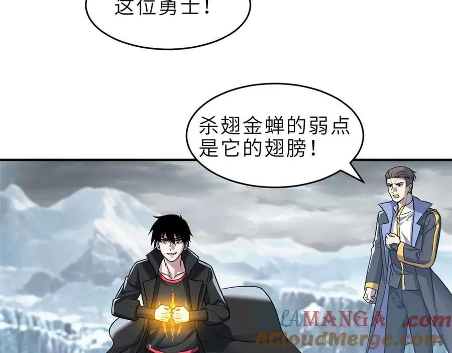 178 杀翅金蝉48
