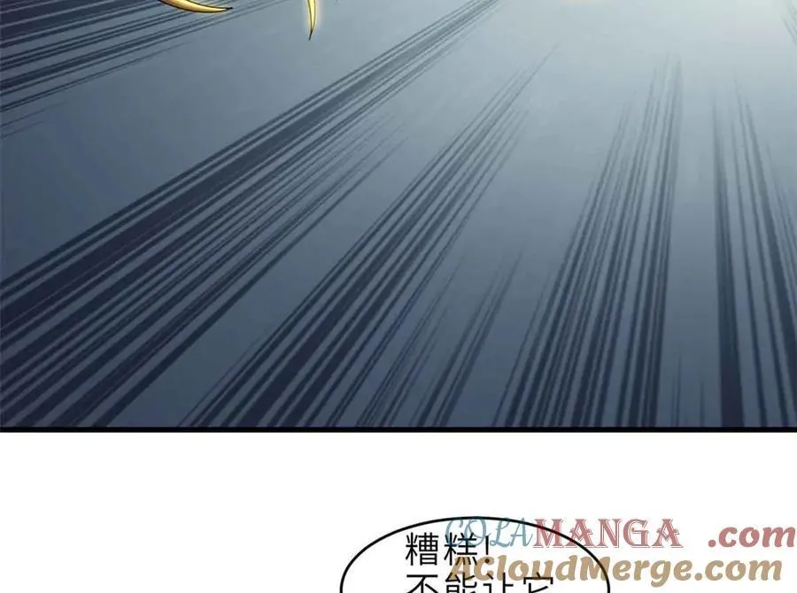 178 杀翅金蝉60