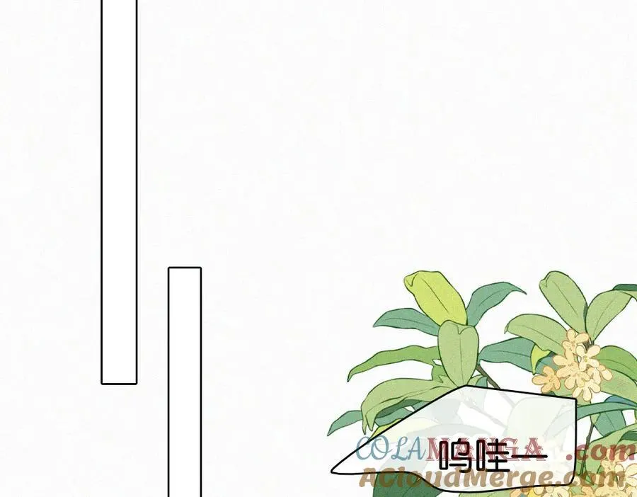 第129话 两颗星星42