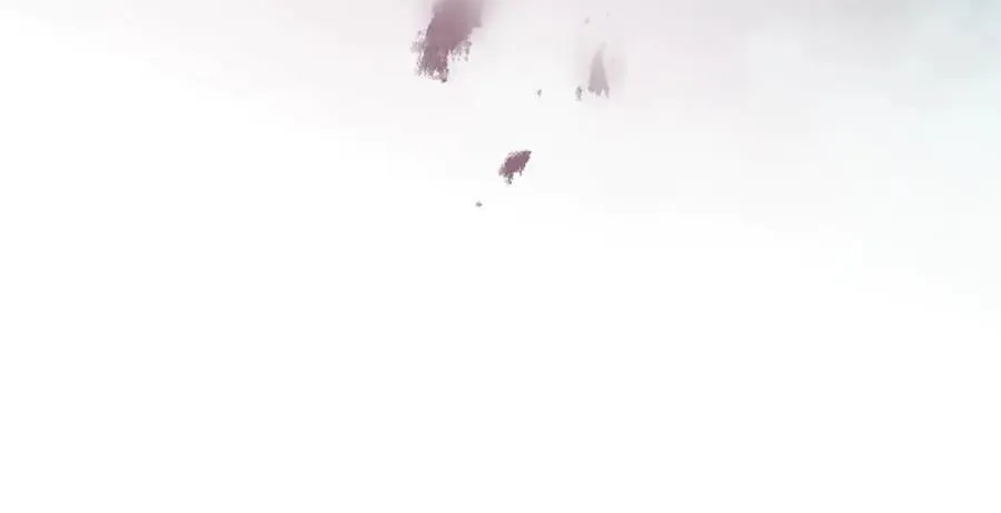 第167话 你的使命69