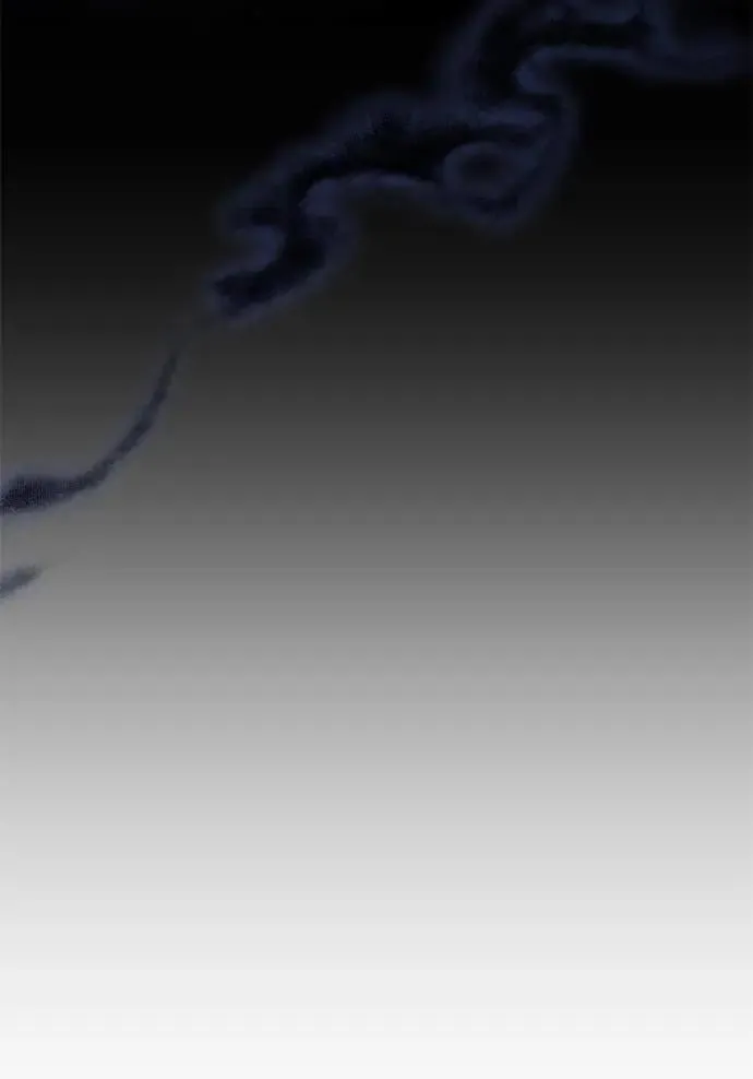 第28话 兔子？乌龟？48