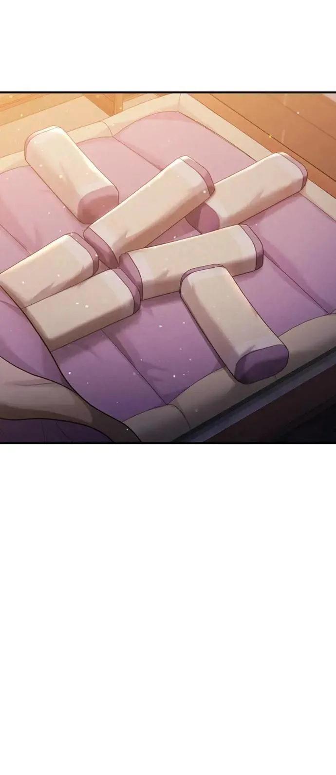 第33话 闪亮的入侵者11