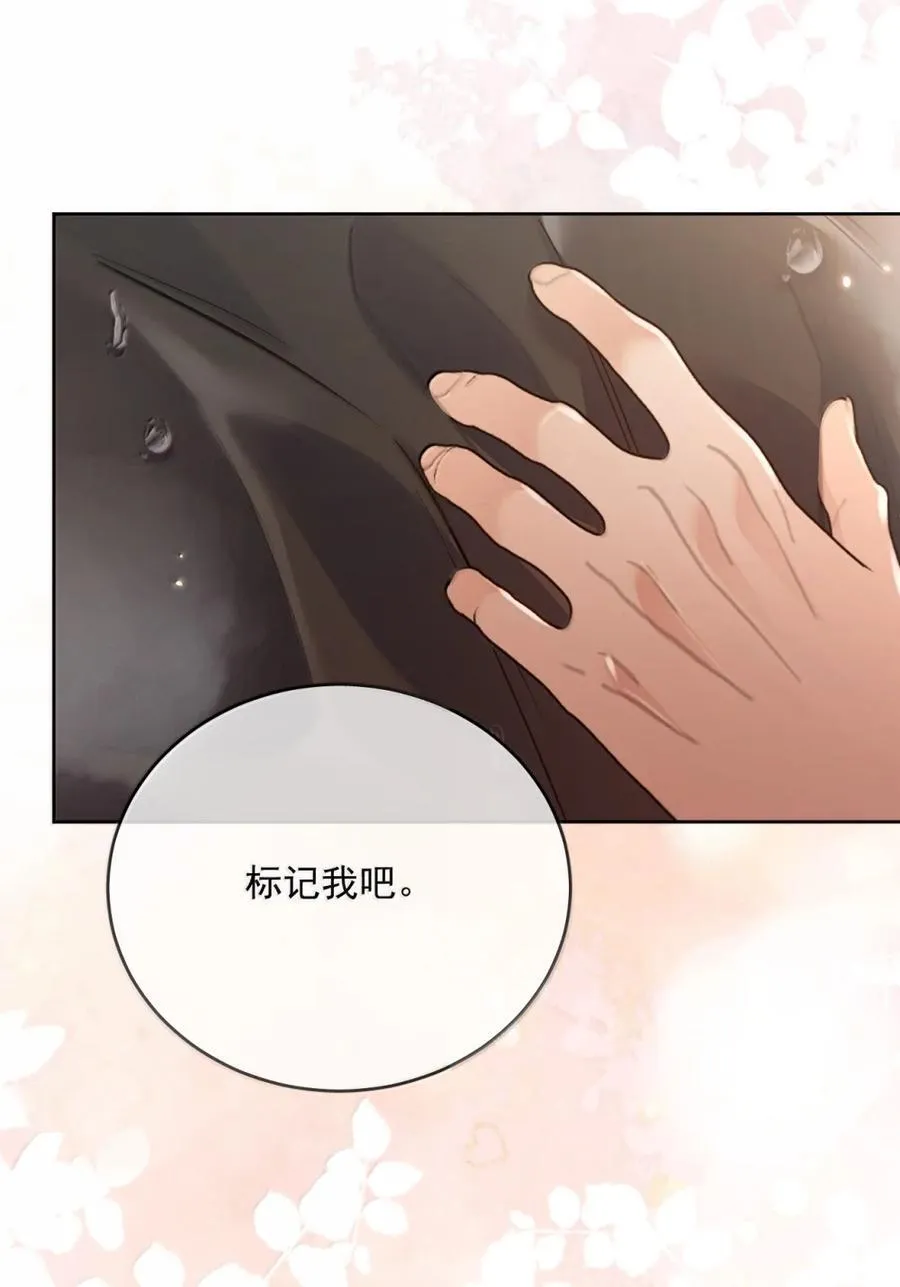 第71话 标记我41