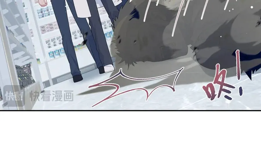 406 跟着我，我保护你55