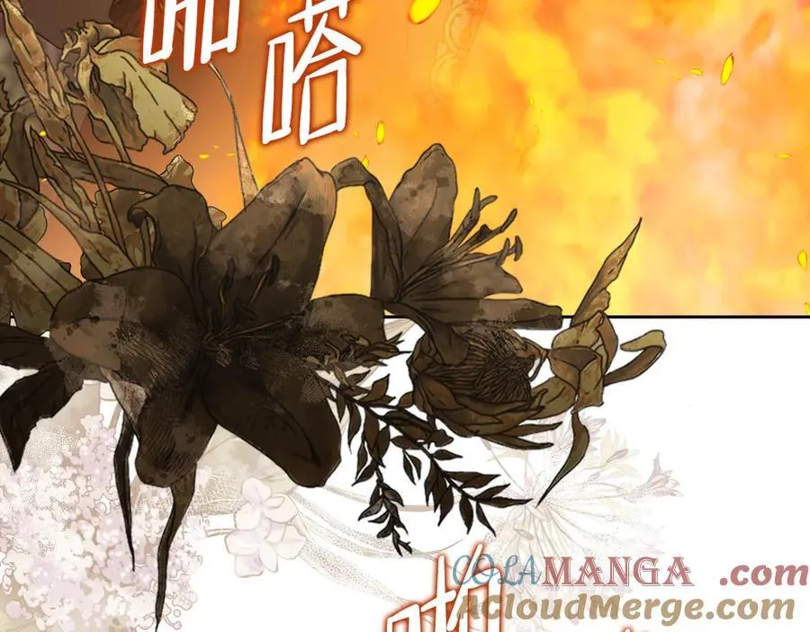 第170话 公主抱264