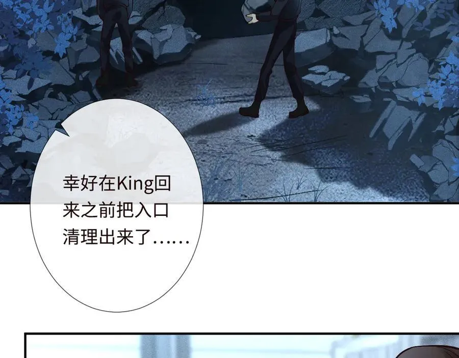 第358 King的计划51