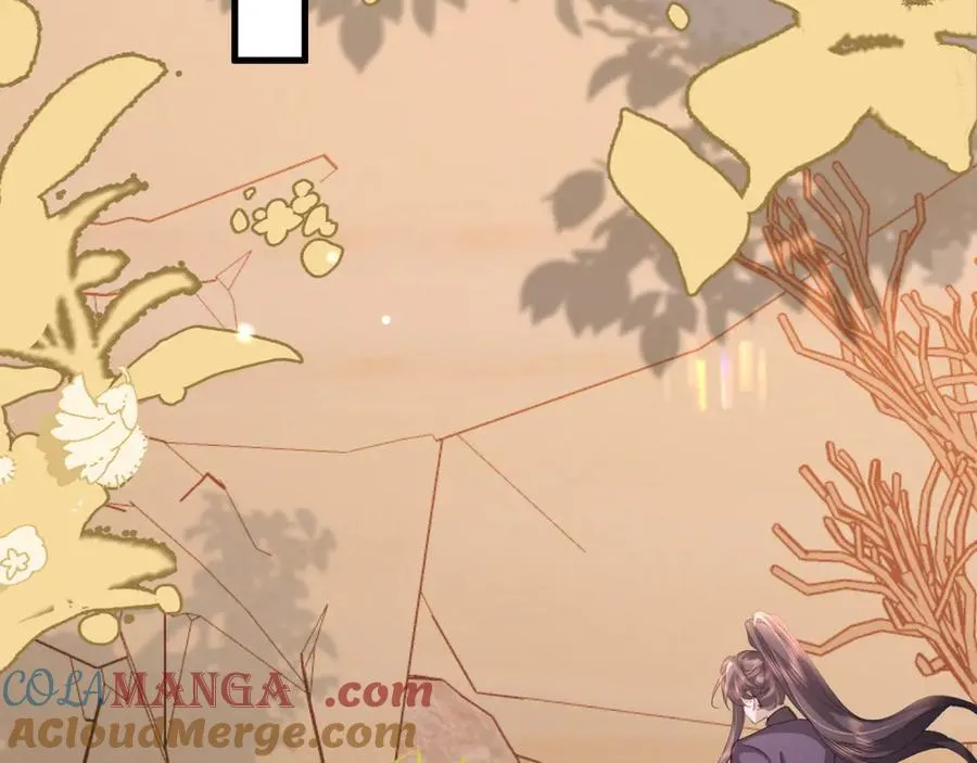 第351话 我要去找七七24