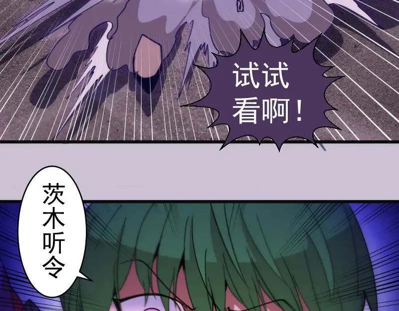 第335话 式神升级34