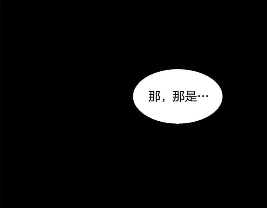 第242话 真相还是被烧毁了161