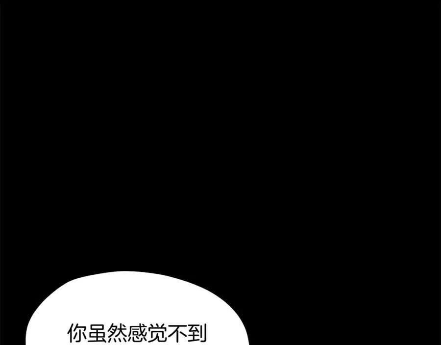 第241话 痛苦的过往105