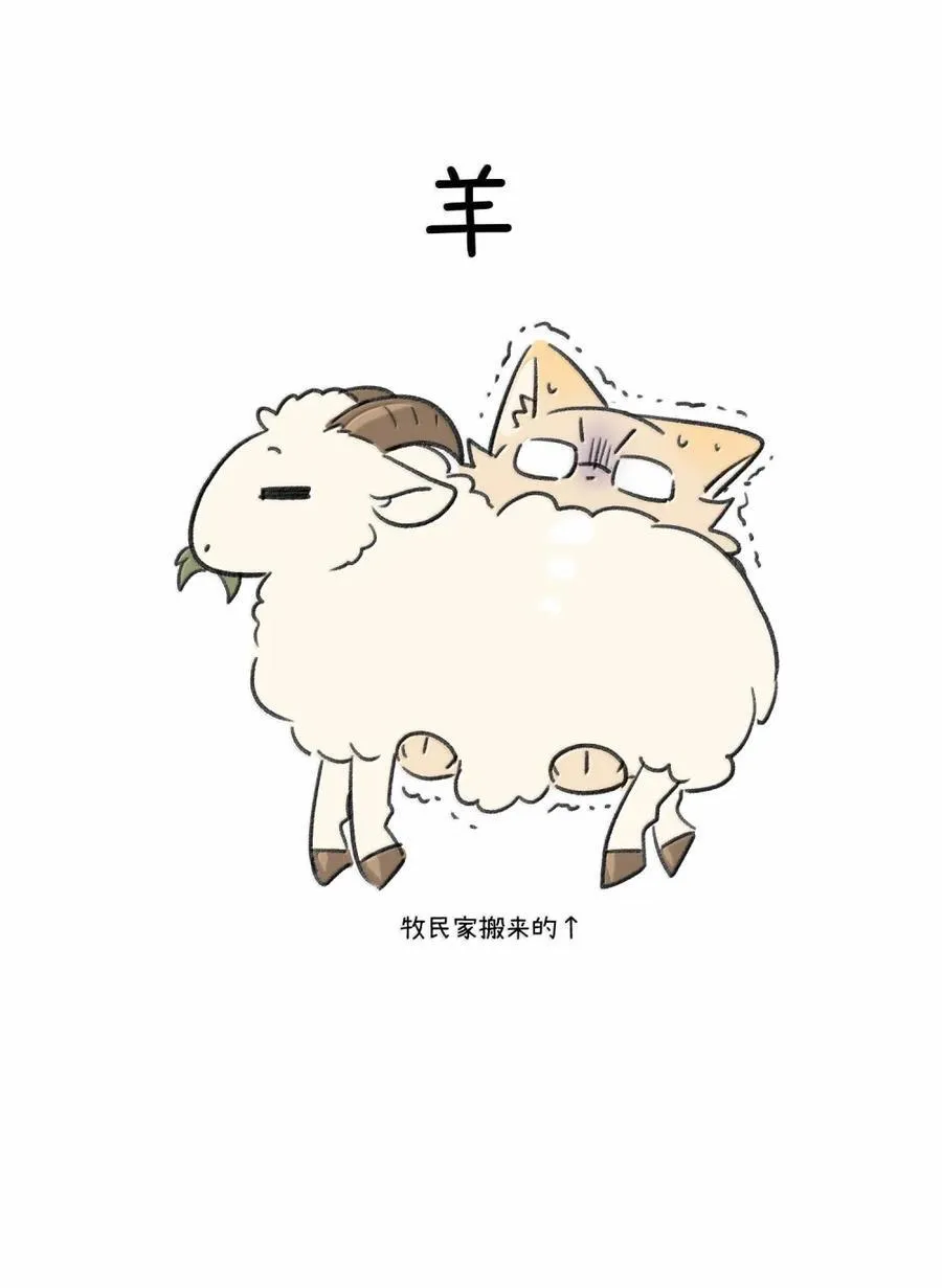 213 小小的她们（评论抽奖）56