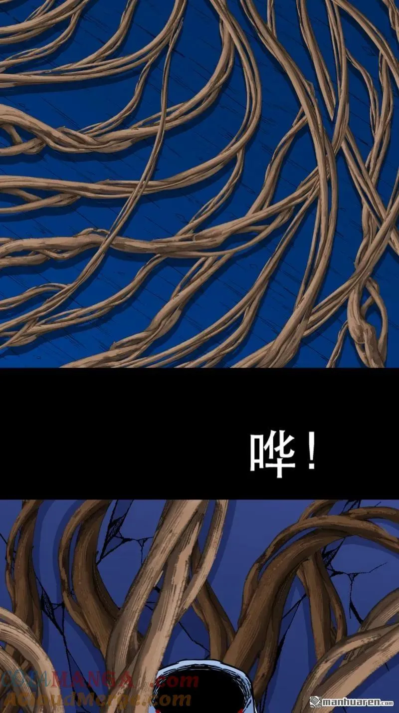 第382回 张家之仇124