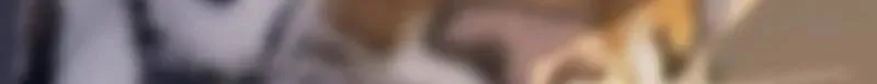 第541话 540 同仇敌忾164