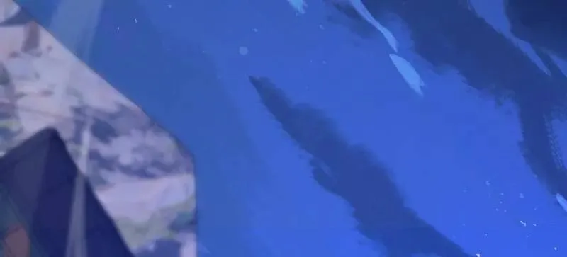 第578话 577 我全都要169