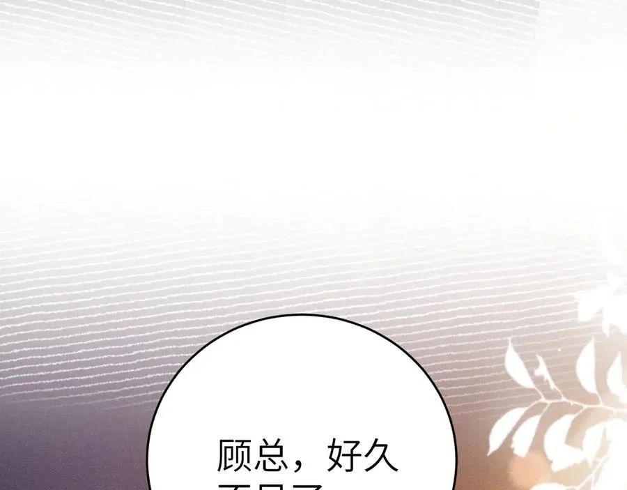 第121话 顾总，好久不见9