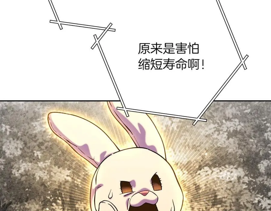 第245话 终极之书的来历83