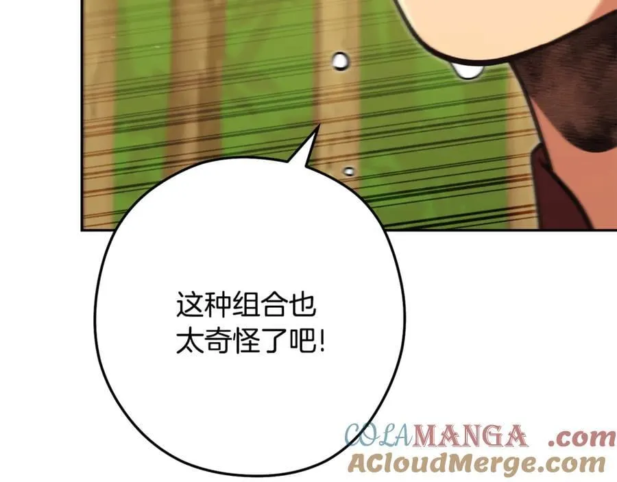第238话 终极之书88