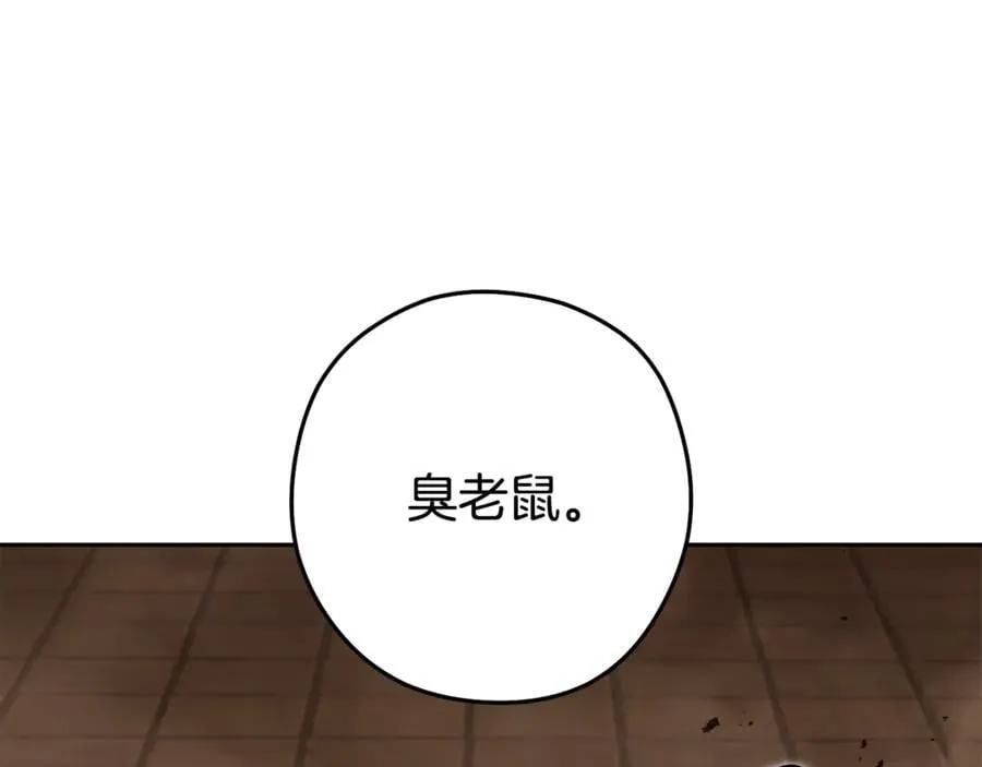 第241话 这是我的主场227