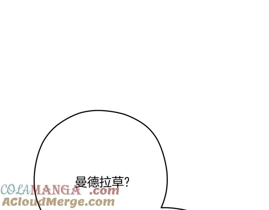 第238话 终极之书236