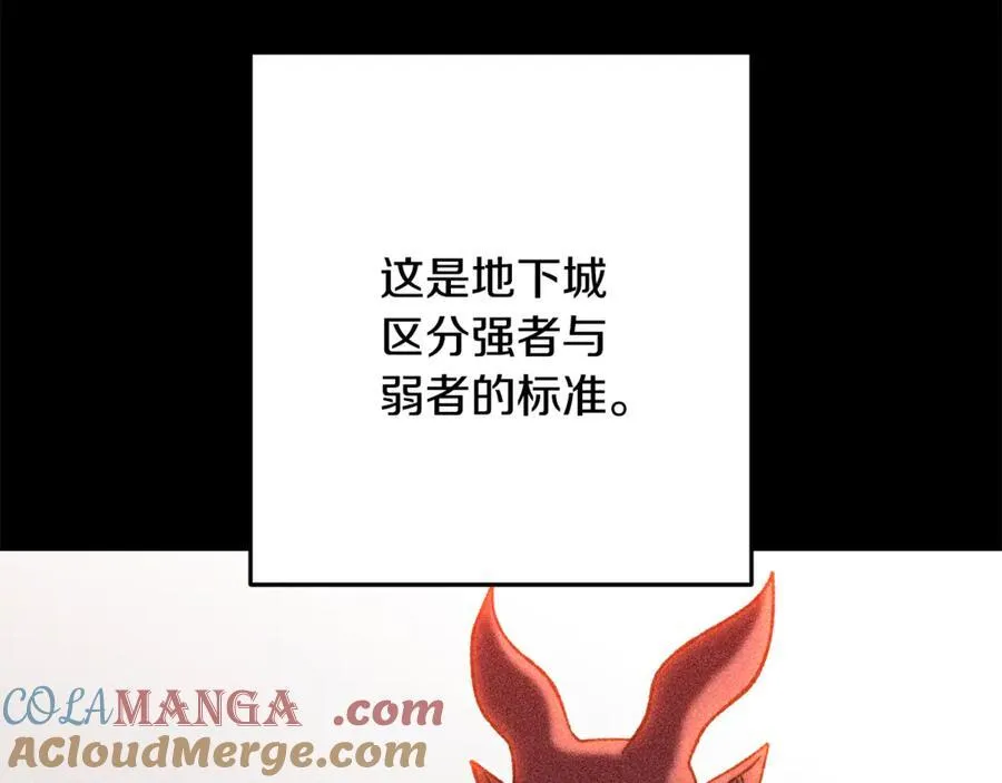 第238话 终极之书4