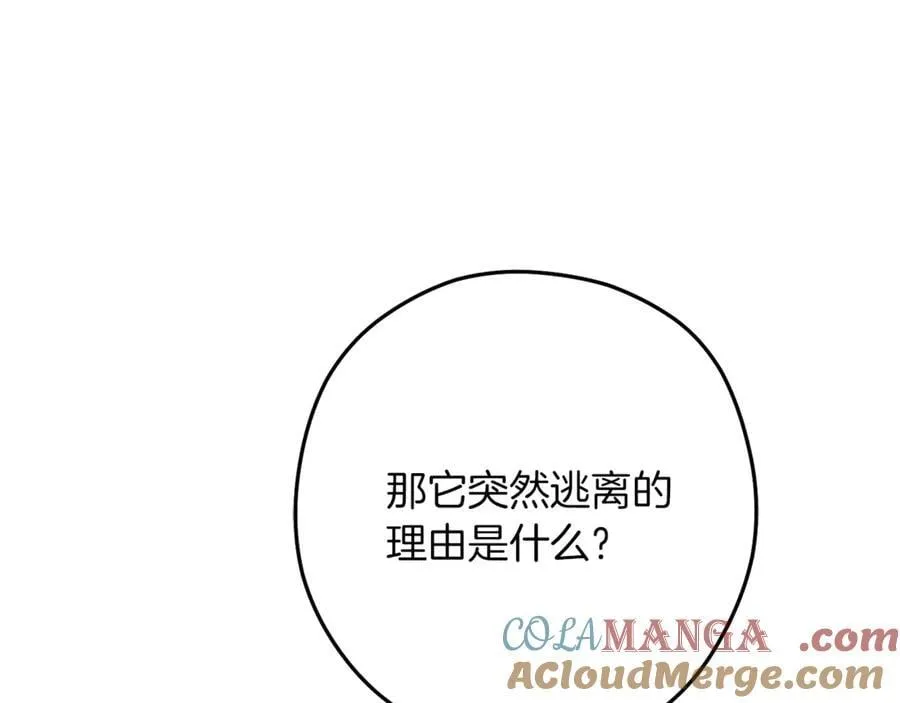 第245话 终极之书的来历140