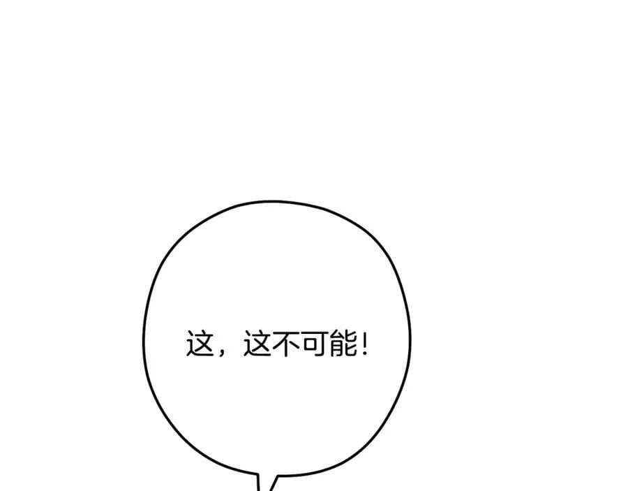 第247话 还有一个办法207