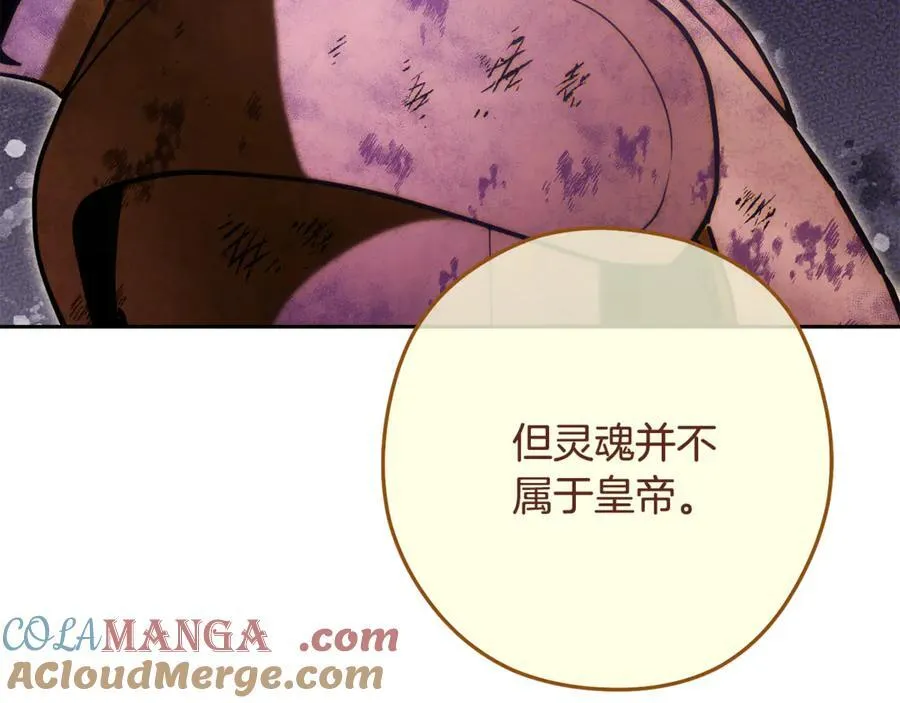 第238话 终极之书92