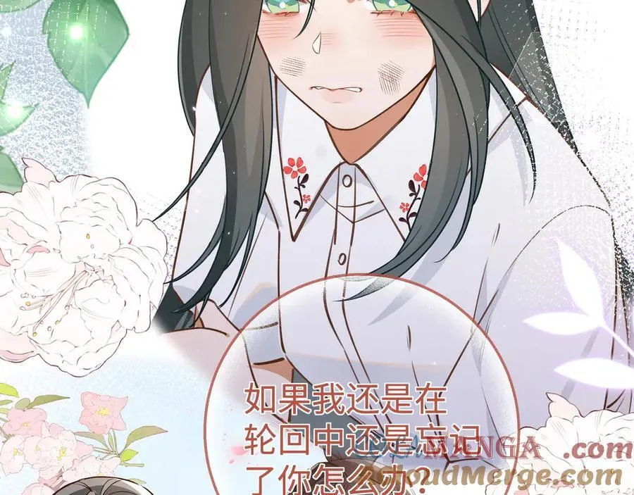 第144话 小桃篮48