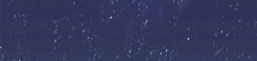 477 水上鲲鹏81