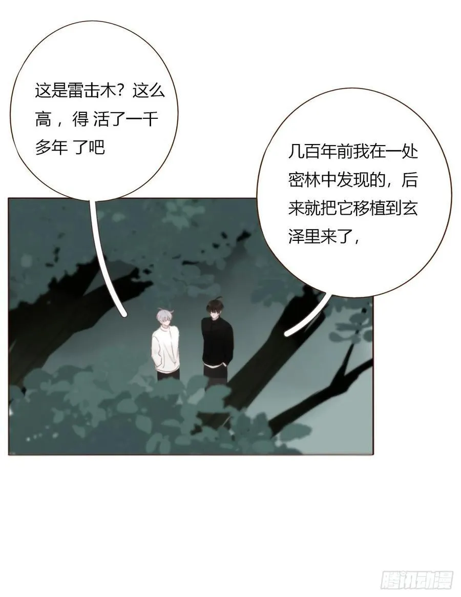 一八五章 雷击木23