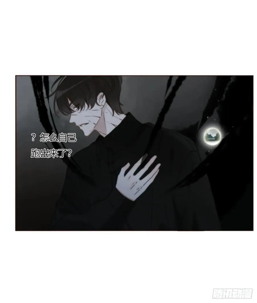 一八四章 师父来了3