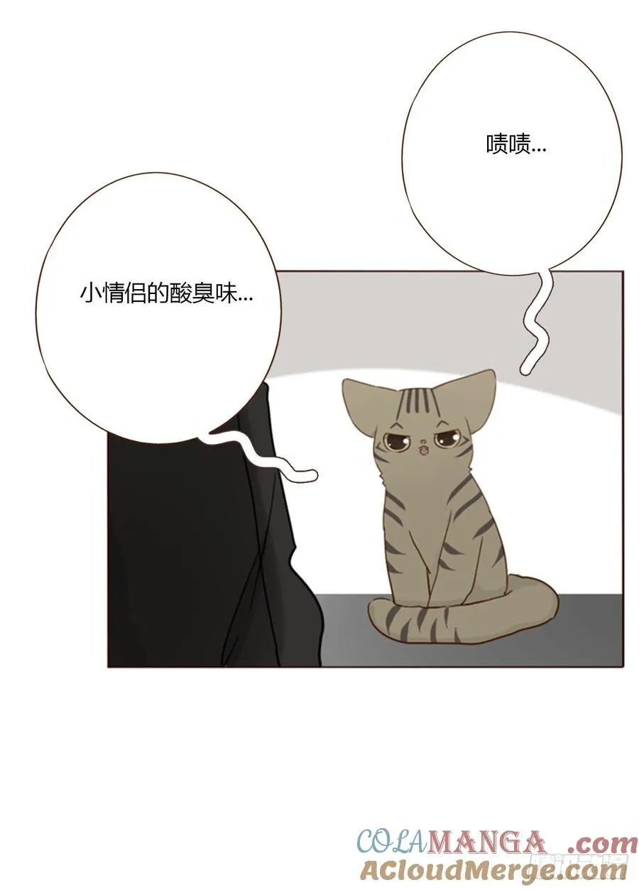 一八七章 角色互换14