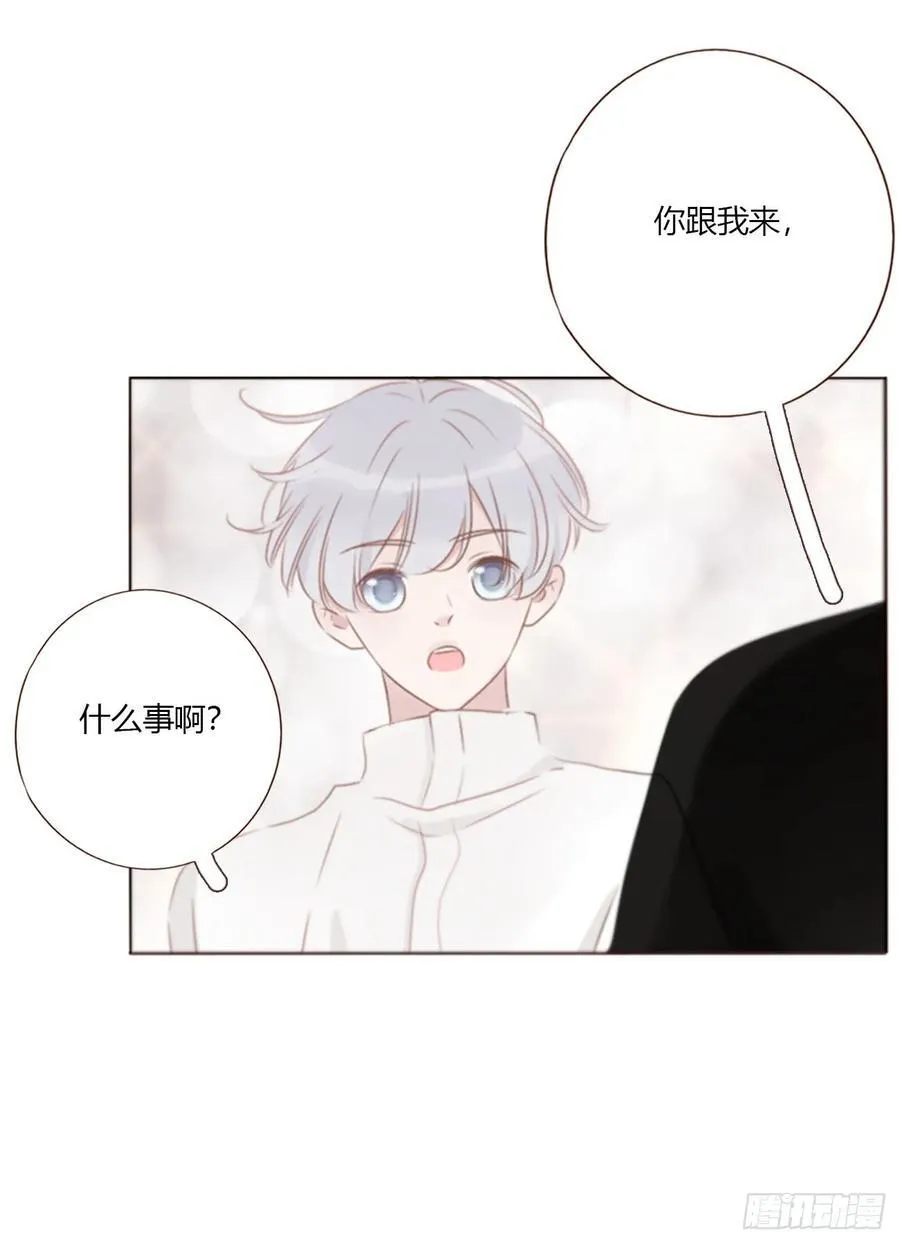 一八五章 雷击木11