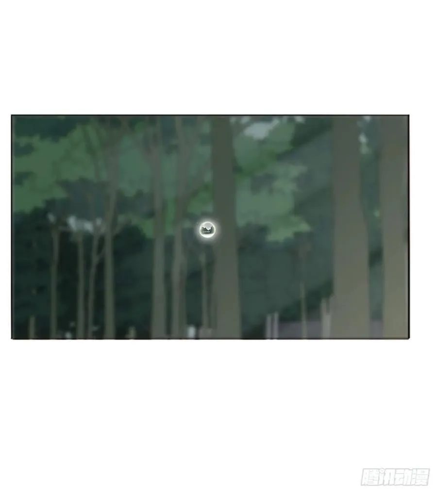 一八五章 雷击木13