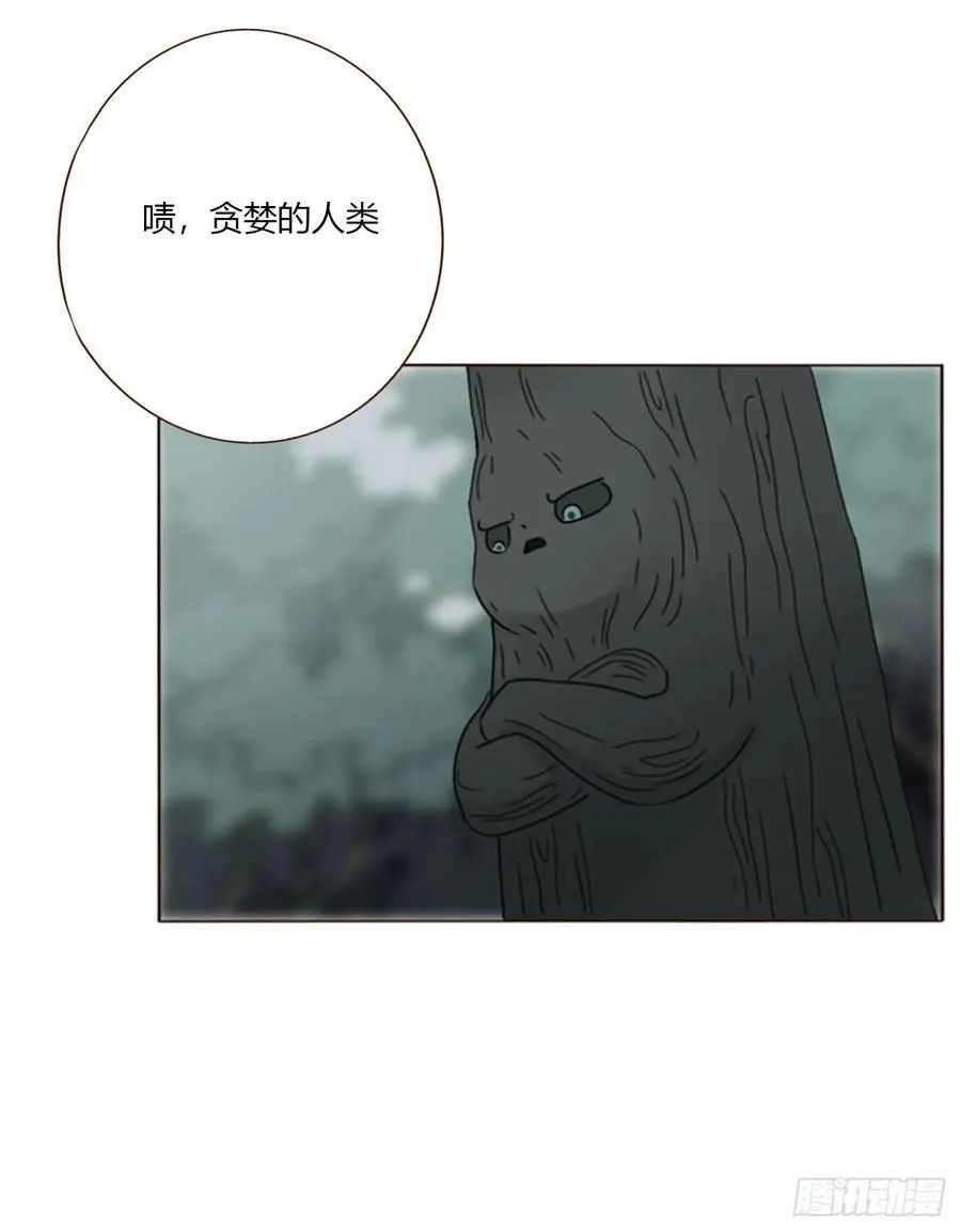 一八五章 雷击木28