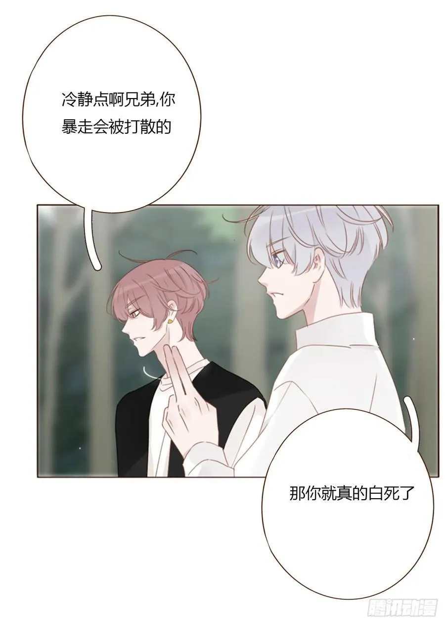一八六章 反杀22