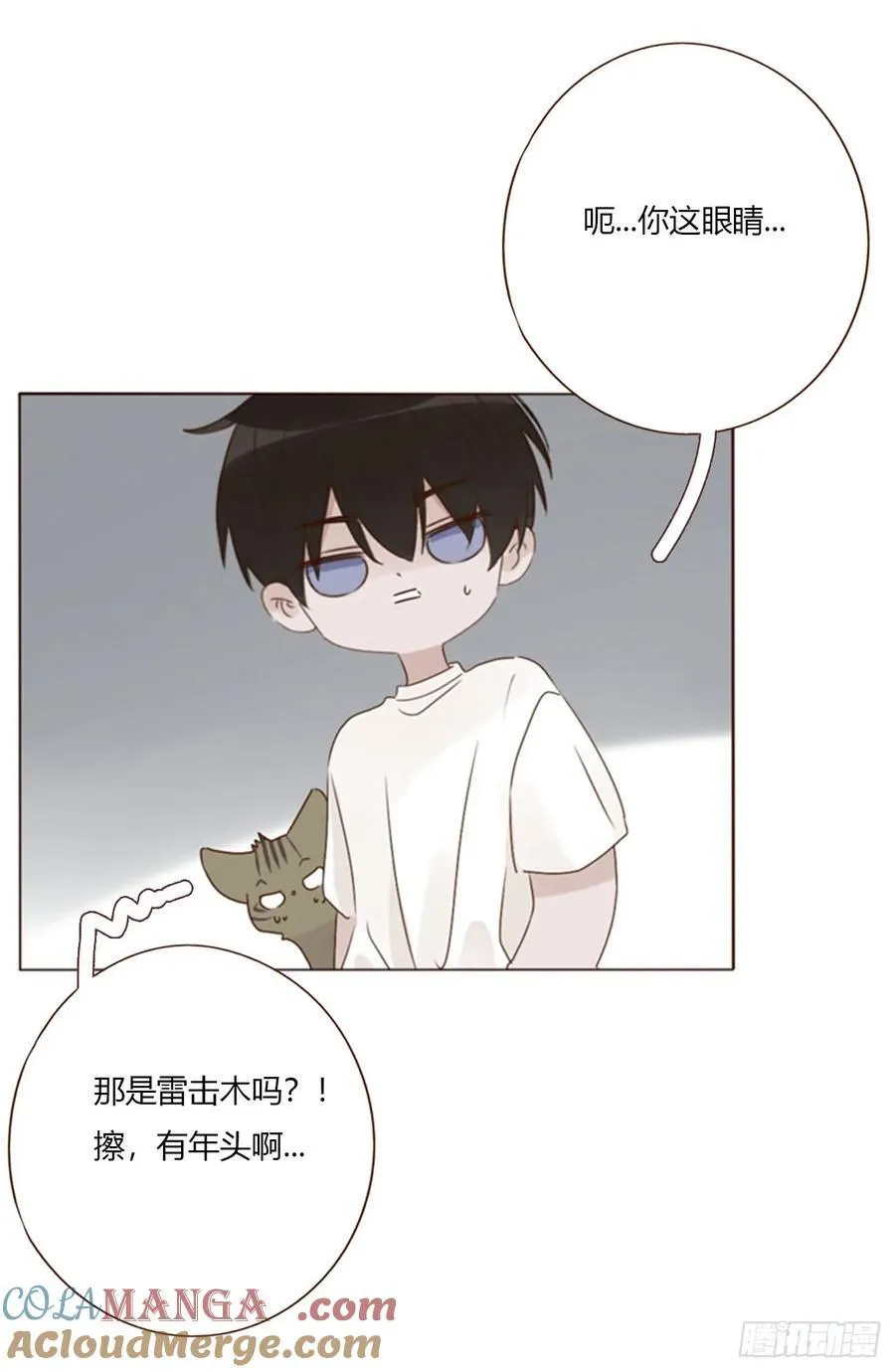 一八九章 清算128