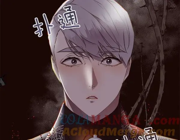 第131话 最后的计谋176