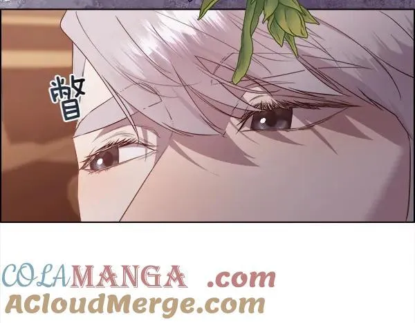 第136话 幻想落空144