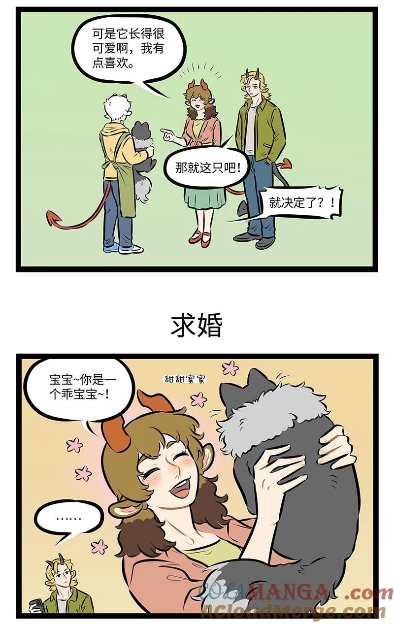 第980话 宠物2
