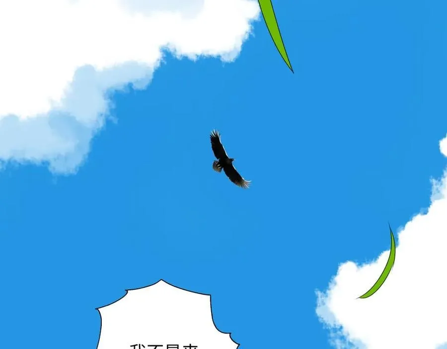 98 追逐太阳16