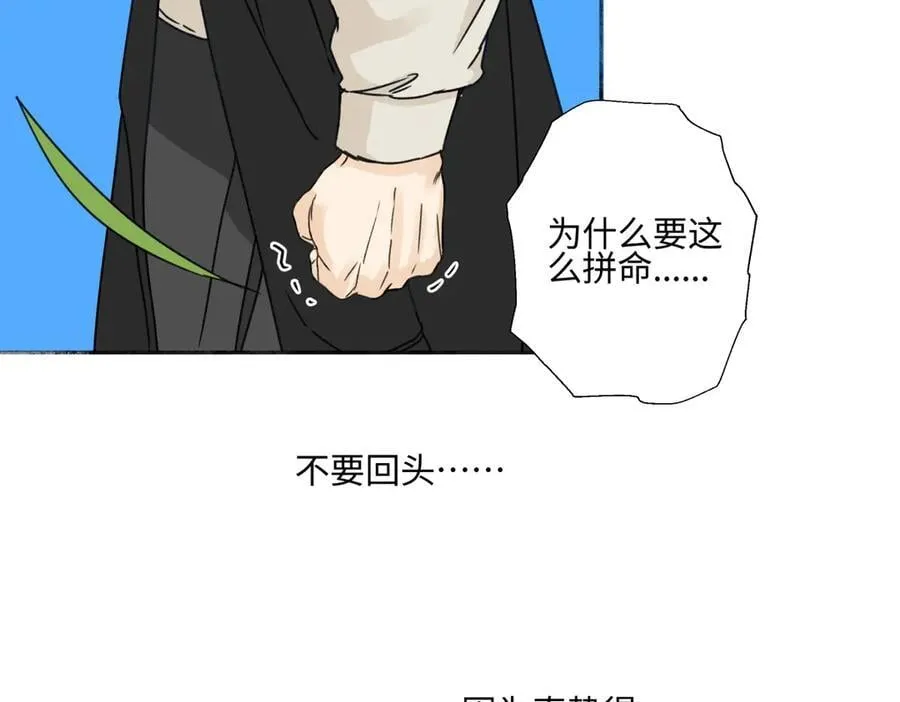 98 追逐太阳74