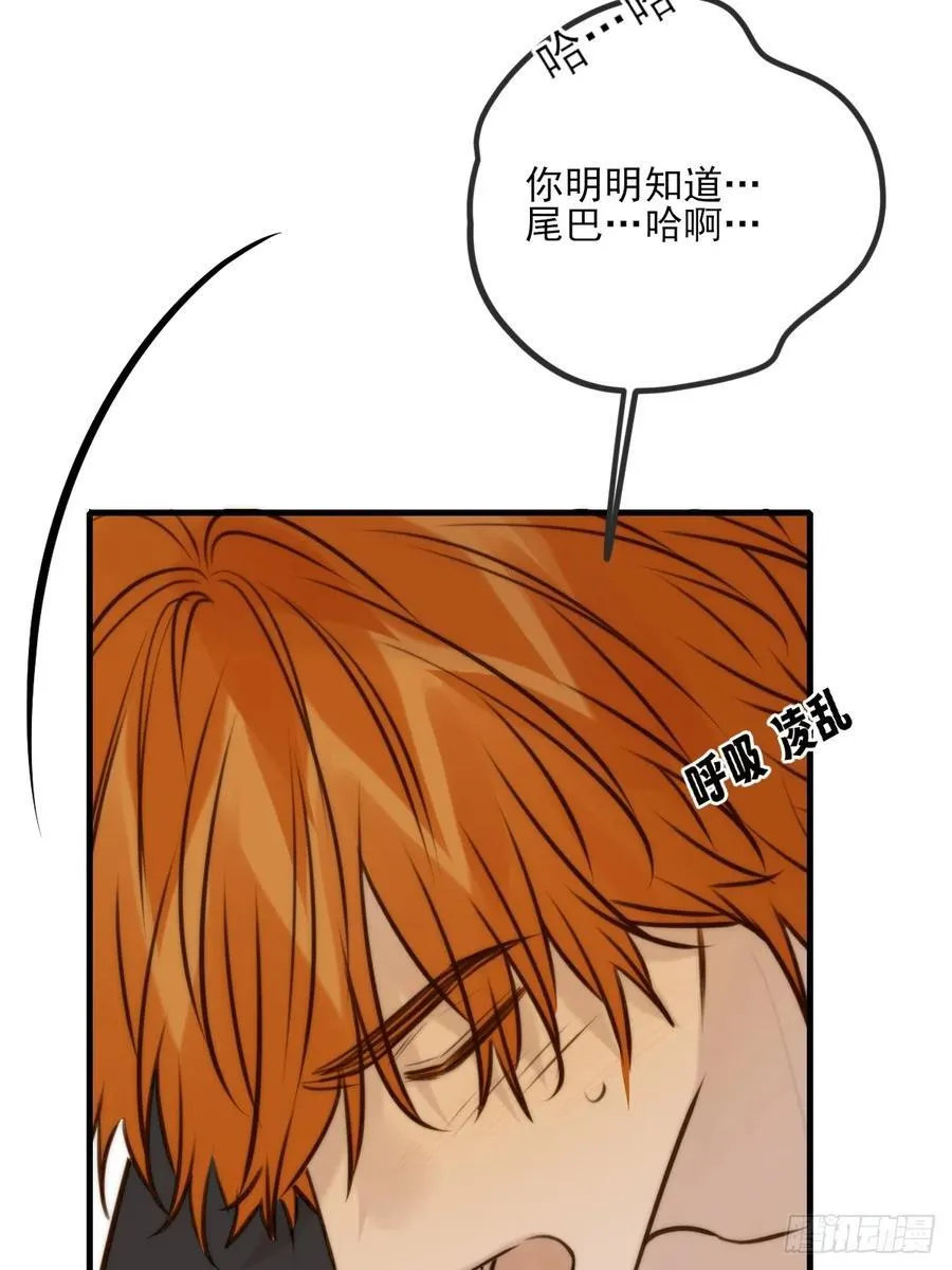 敏感的尾巴14