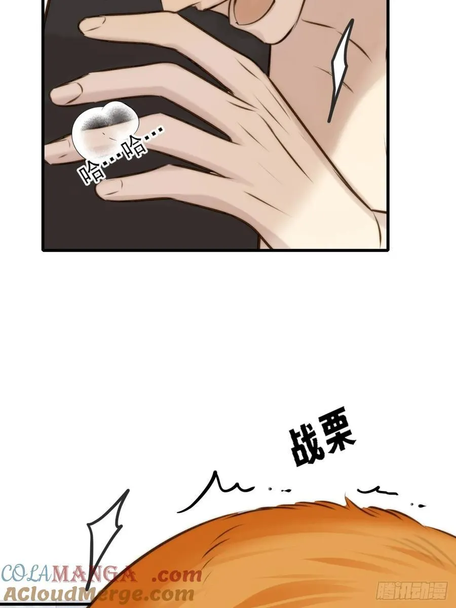 敏感的尾巴15