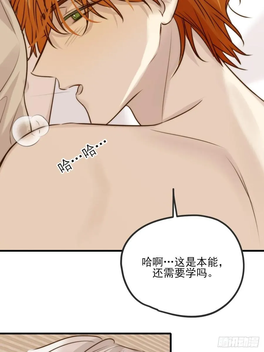 敏感的尾巴4