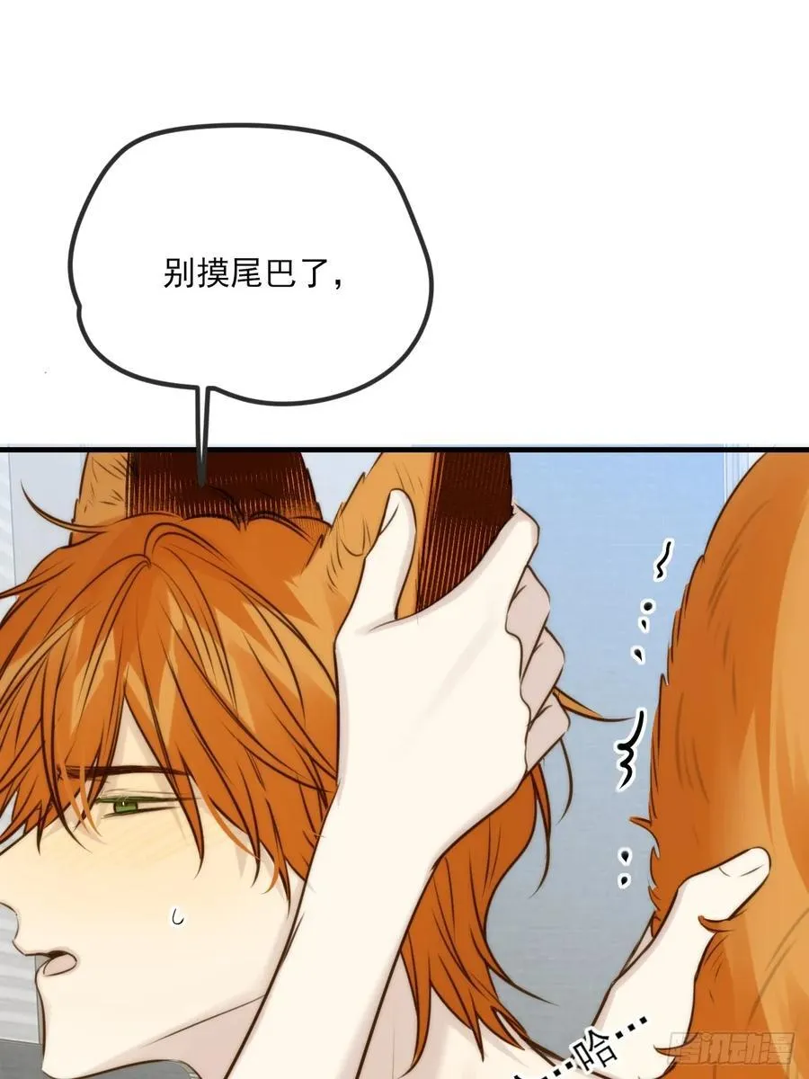 敏感的尾巴17