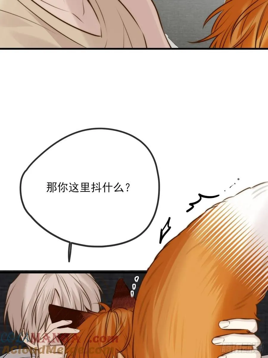 敏感的尾巴12