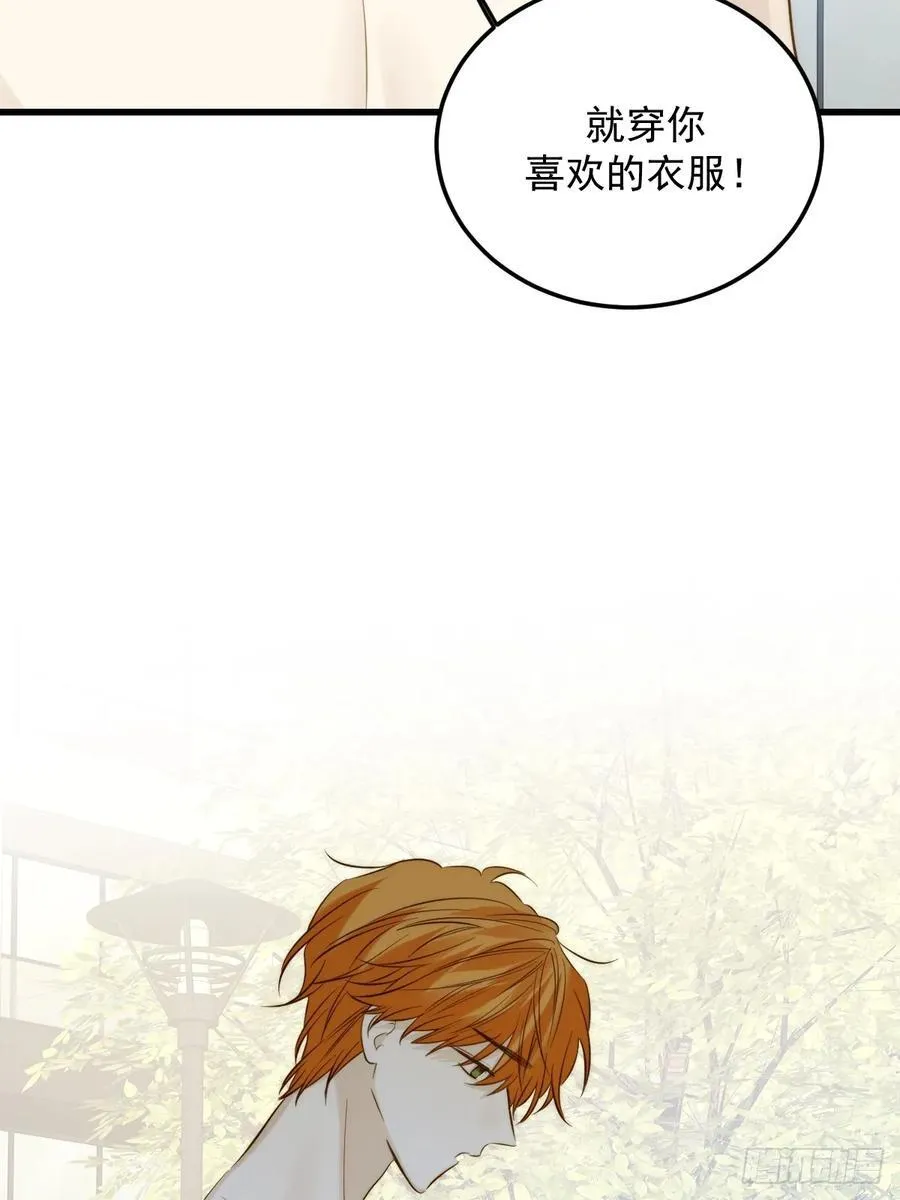 转移鳞片19