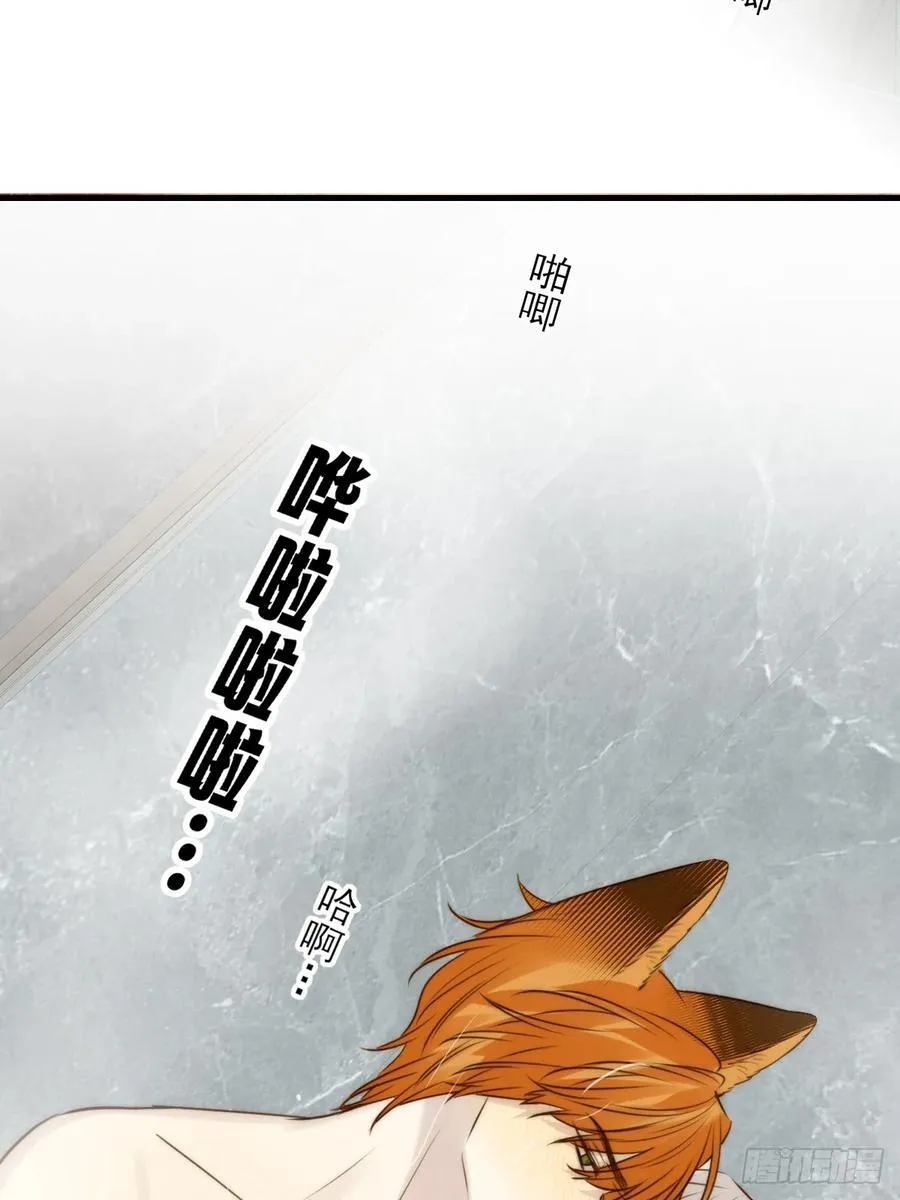 敏感的尾巴32