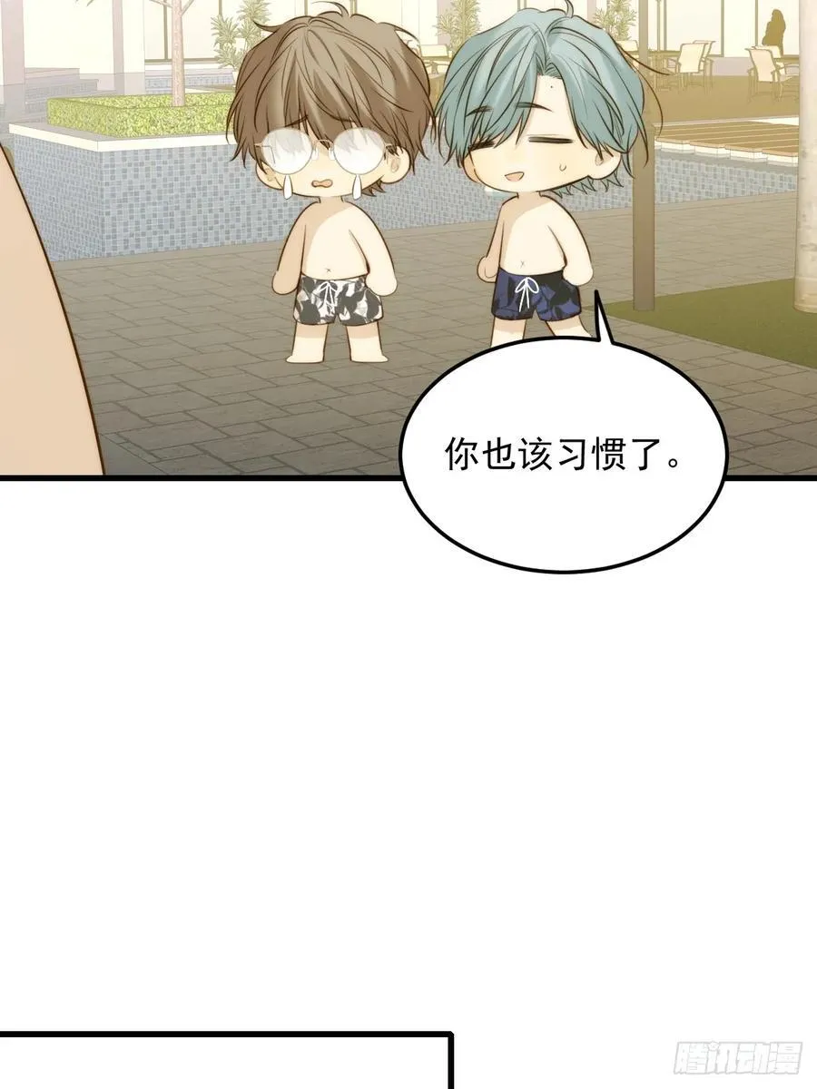 转移鳞片29